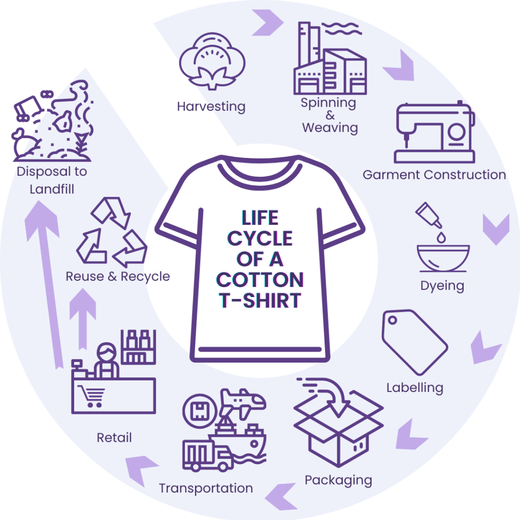 Life cycle of a cotton t shirt 1 - Seamless Source