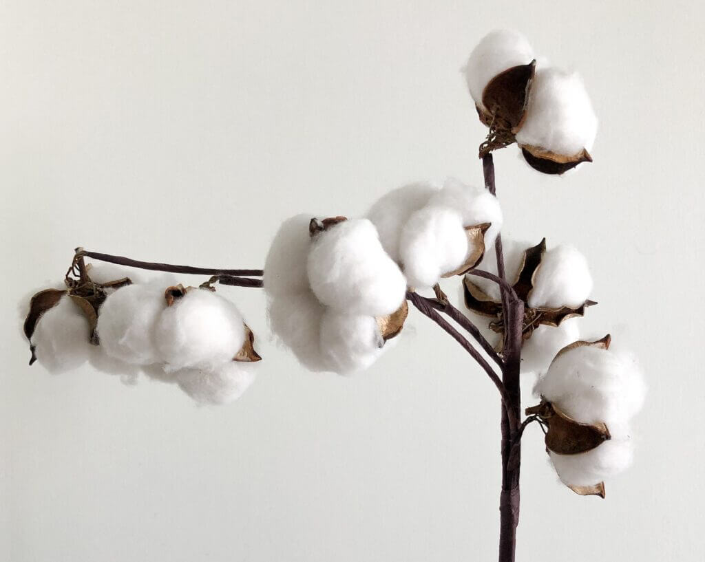 cotton-fabric-tree-seamlesssource.com