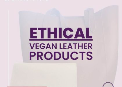 350845099_941139543763715_5914481252452454070_n